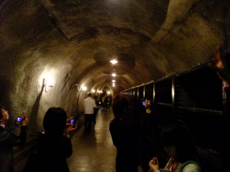 f:id:an_dan_go:20111103150058j:image
