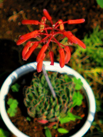 f:id:an_dan_go:20120617232513j:image:w300:right