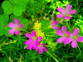 20120617232532