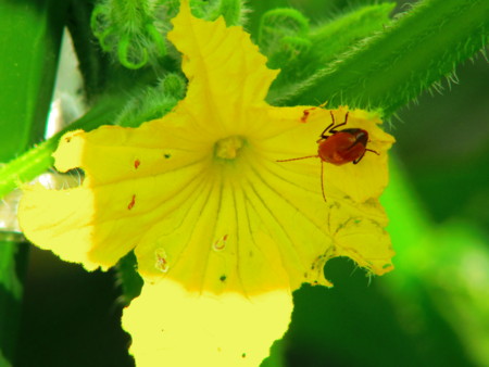 f:id:an_dan_go:20120617232551j:image f:id:an_dan_go:20120617232551j:image