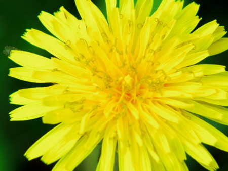 f:id:an_dan_go:20120617232608j:image f:id:an_dan_go:20120617232608j:image