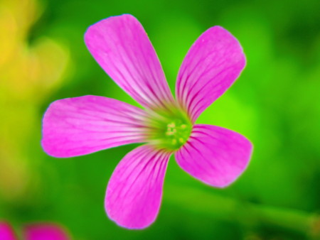 f:id:an_dan_go:20120617232626j:image f:id:an_dan_go:20120617232626j:image