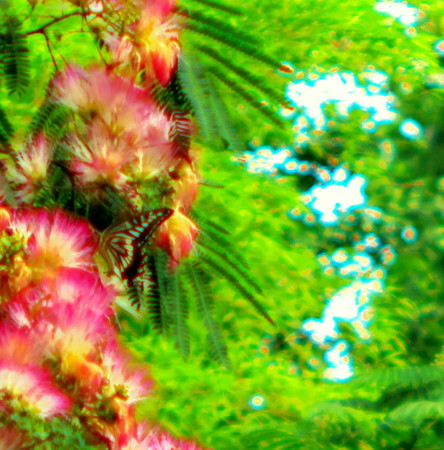 f:id:an_dan_go:20120625235247j:image f:id:an_dan_go:20120625235247j:image