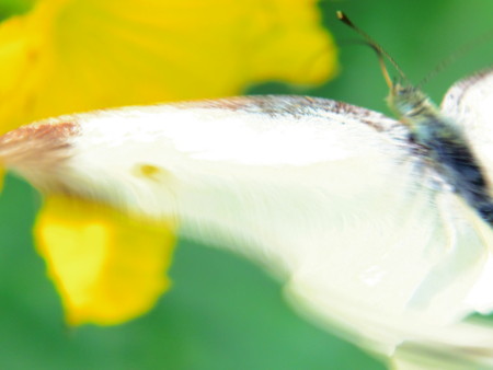 f:id:an_dan_go:20120625235254j:image f:id:an_dan_go:20120625235254j:image