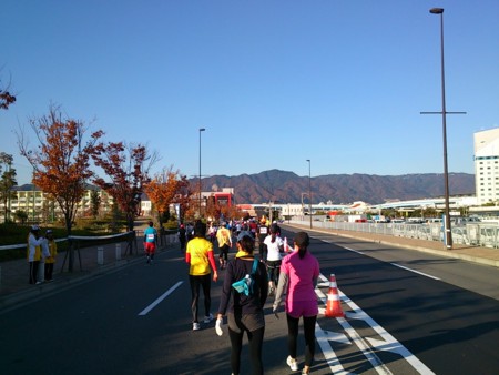 f:id:an_dan_go:20121230014228j:image:w350:left