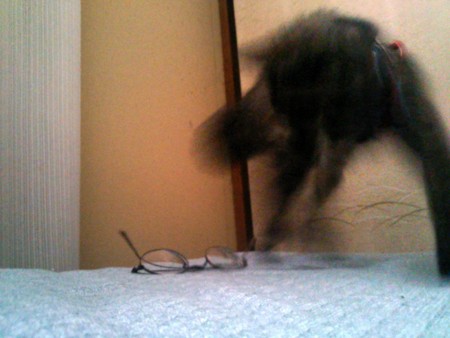 f:id:an_dan_go:20130614225302j:image