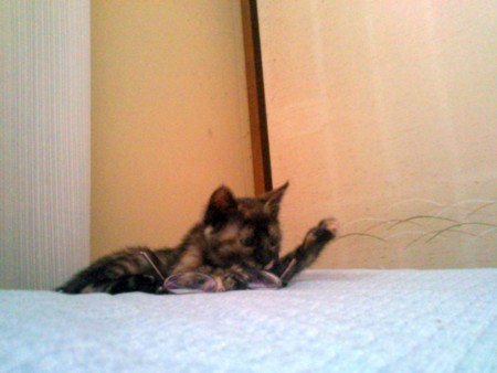 f:id:an_dan_go:20130614225306j:image