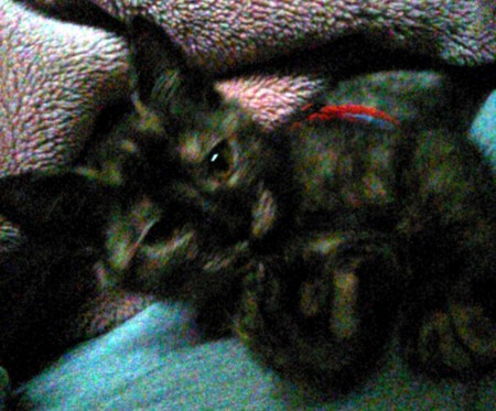 f:id:an_dan_go:20130618235950j:image