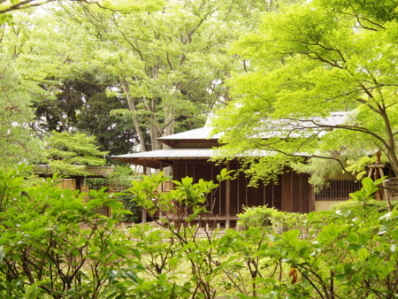 f:id:an_dan_go:20130705225434j:image