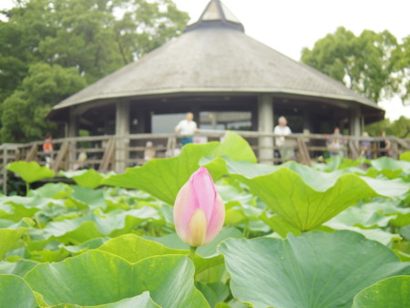 f:id:an_dan_go:20130705225446j:image
