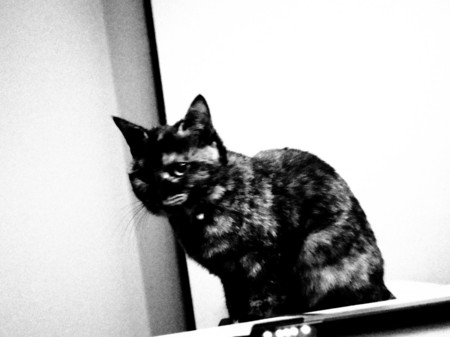 f:id:an_dan_go:20131111212309j:image