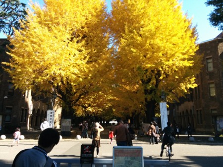 f:id:an_dan_go:20131126214505j:image