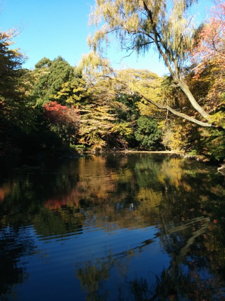 f:id:an_dan_go:20131126231802j:image