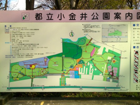 f:id:an_dan_go:20140413222043j:image:w300:right