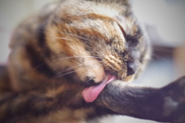 f:id:an_dan_go:20141219220141j:image:w450