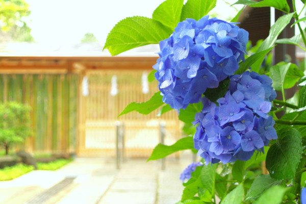 f:id:an_dan_go:20160629222905j:image