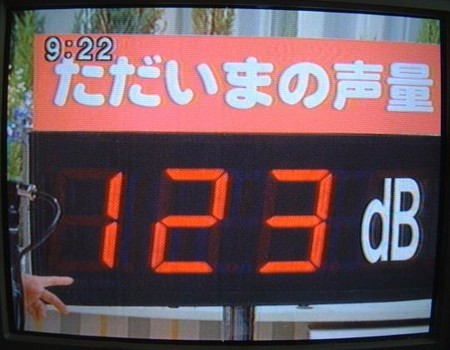 イメージ 6