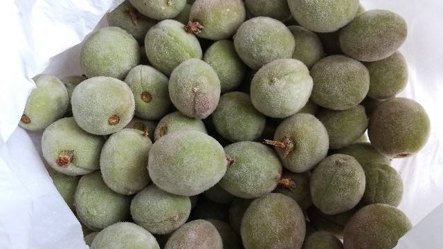 f:id:an_ordinary_blogger:20210617211829j:image