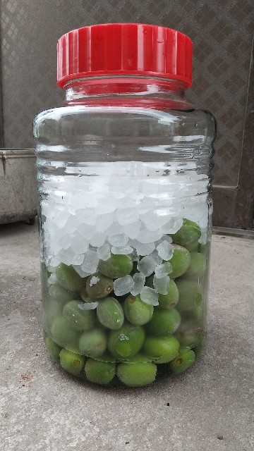 f:id:an_ordinary_blogger:20210618041025j:image