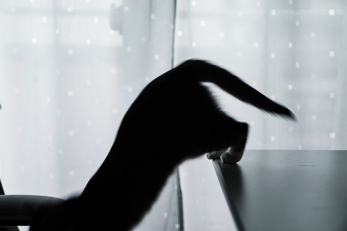 f:id:an_style:20190910085246j:plain