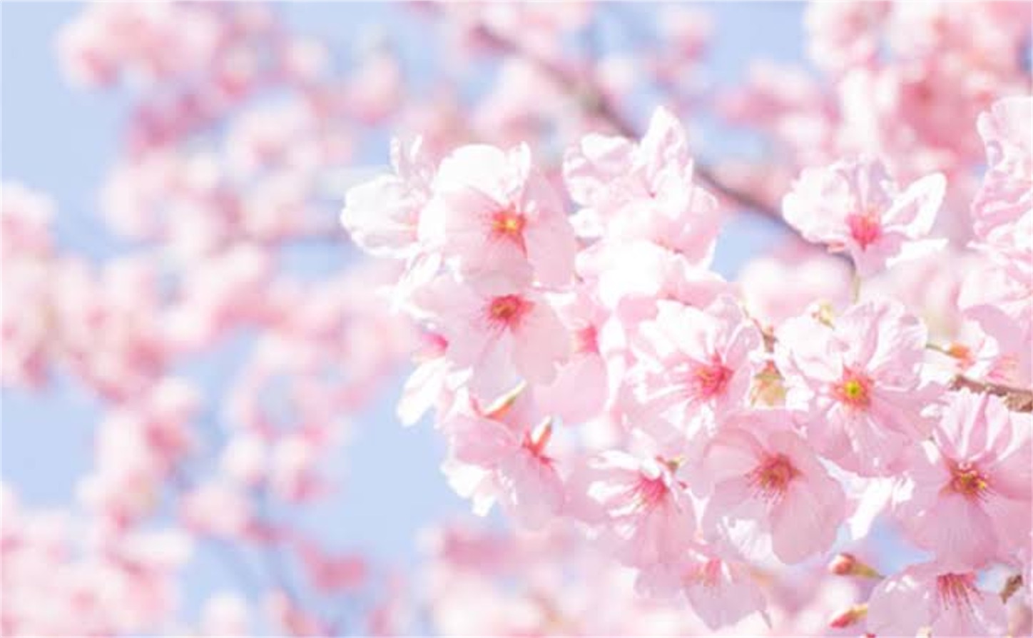 f:id:ana5126:20230329114630j:image