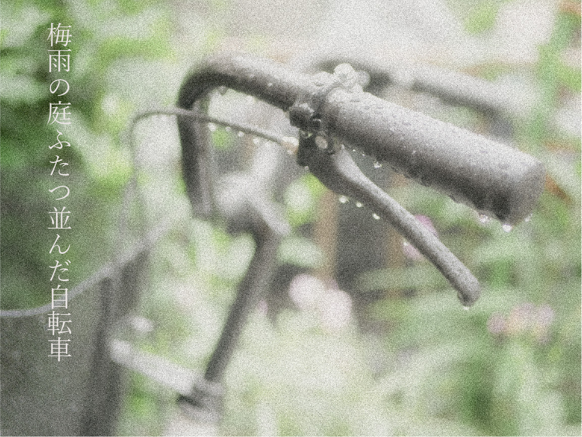 自転車の写真に俳句「梅雨の庭ふたつ並んだ自転車」