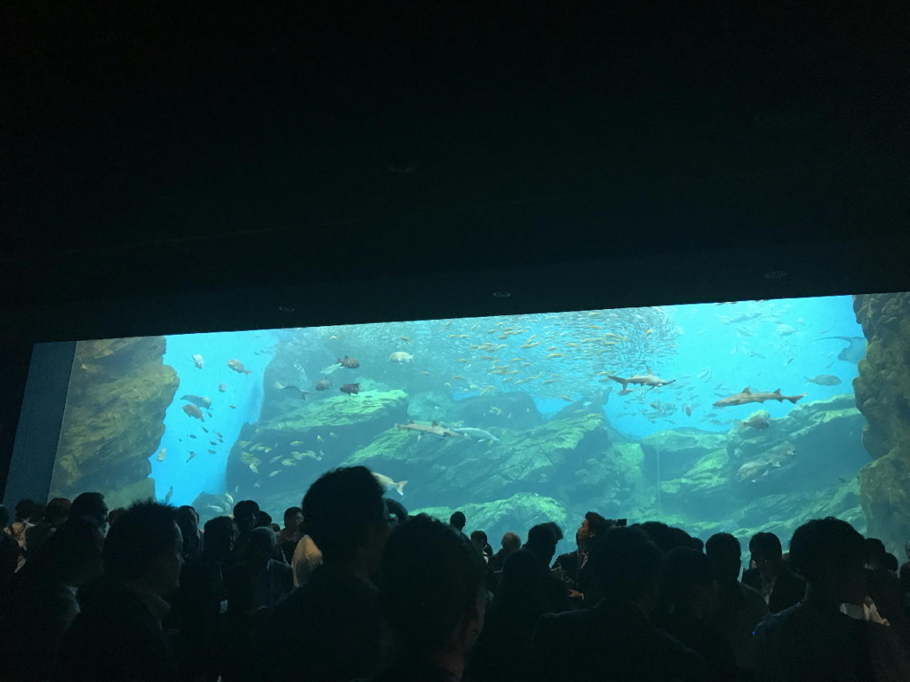 仙台うみの杜水族館の巨大水槽「いのちきらめく うみ」