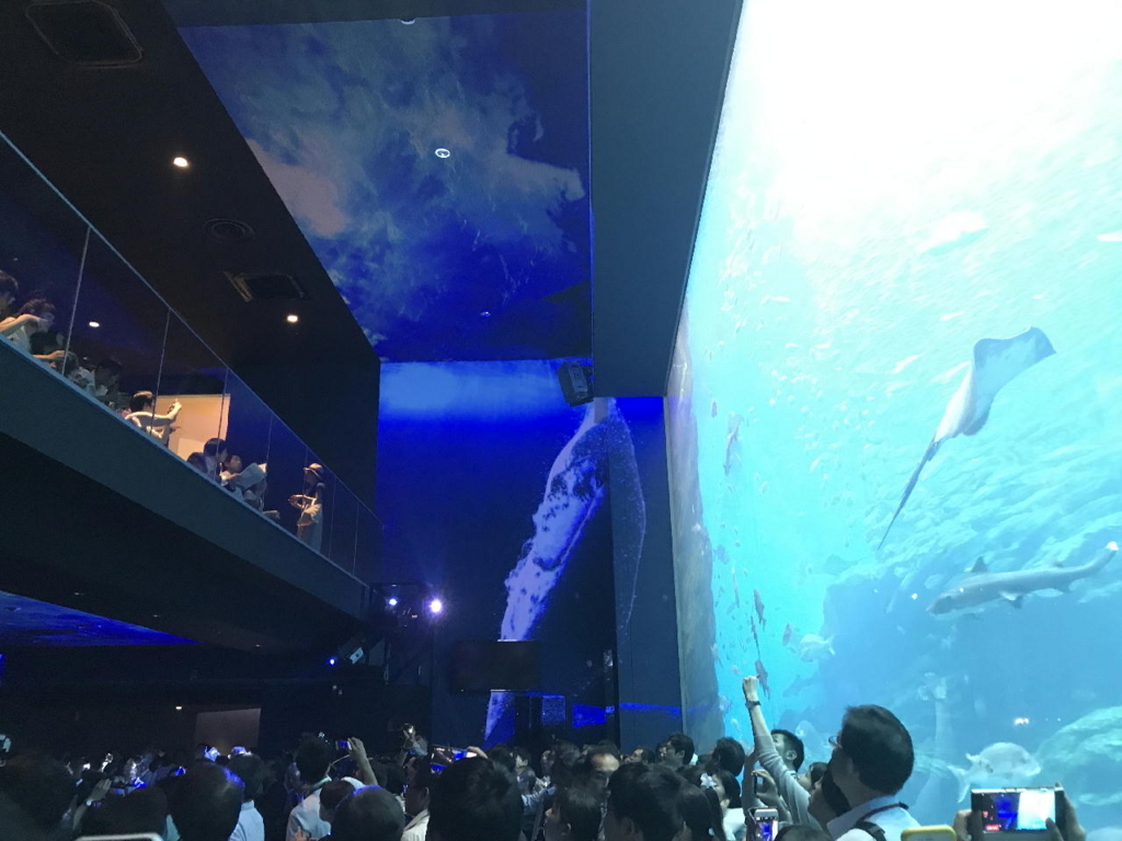 仙台うみの杜水族館の巨大水槽と360°大パノラマプロジェクションマッピング