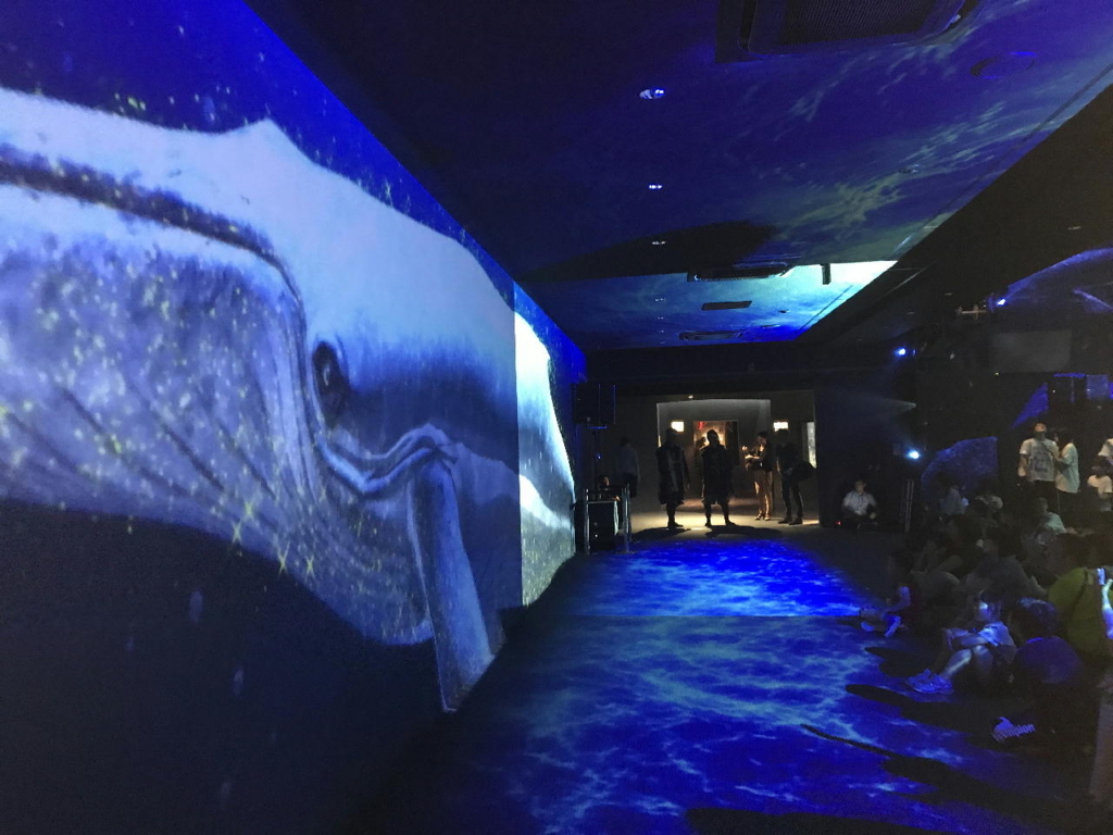 仙台うみの杜水族館の360°大パノラマプロジェクションマッピング（通路側）