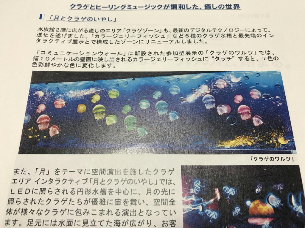 仙台うみの杜水族館の月とクラゲのいやし