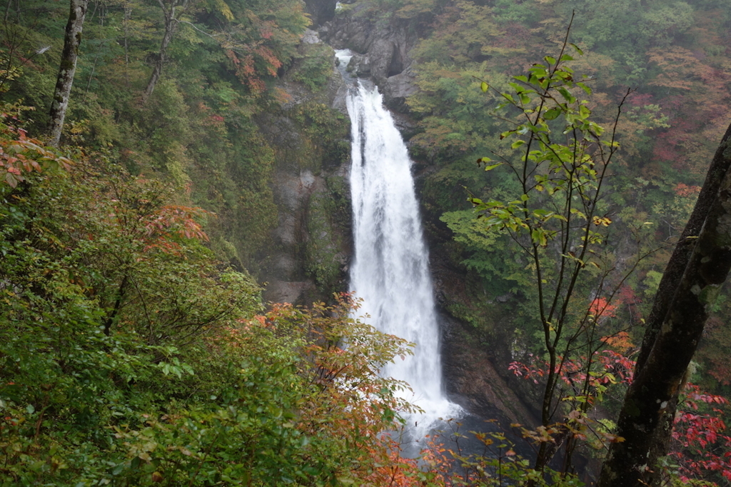 滝見台から見る秋保大滝（全景）