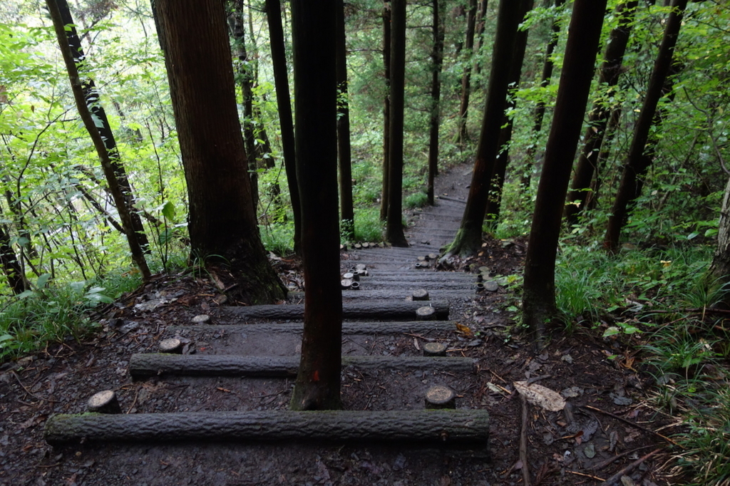 秋保大滝滝壺への道（林道の階段）