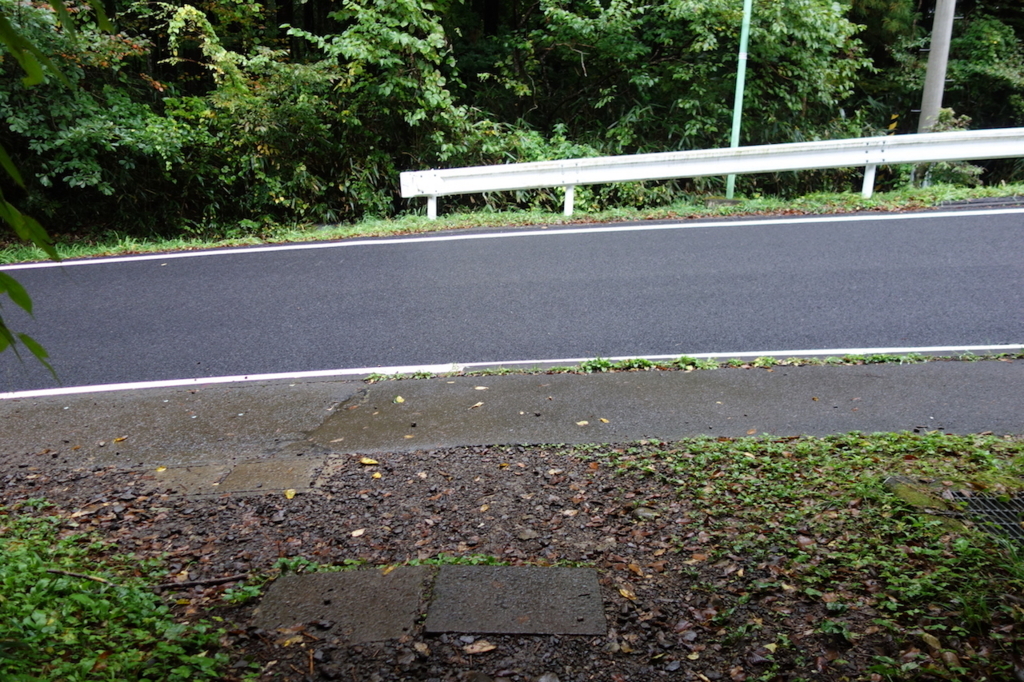 秋保大滝滝壺への道（道路）