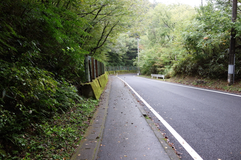 秋保大滝滝壺への道（道路中程）