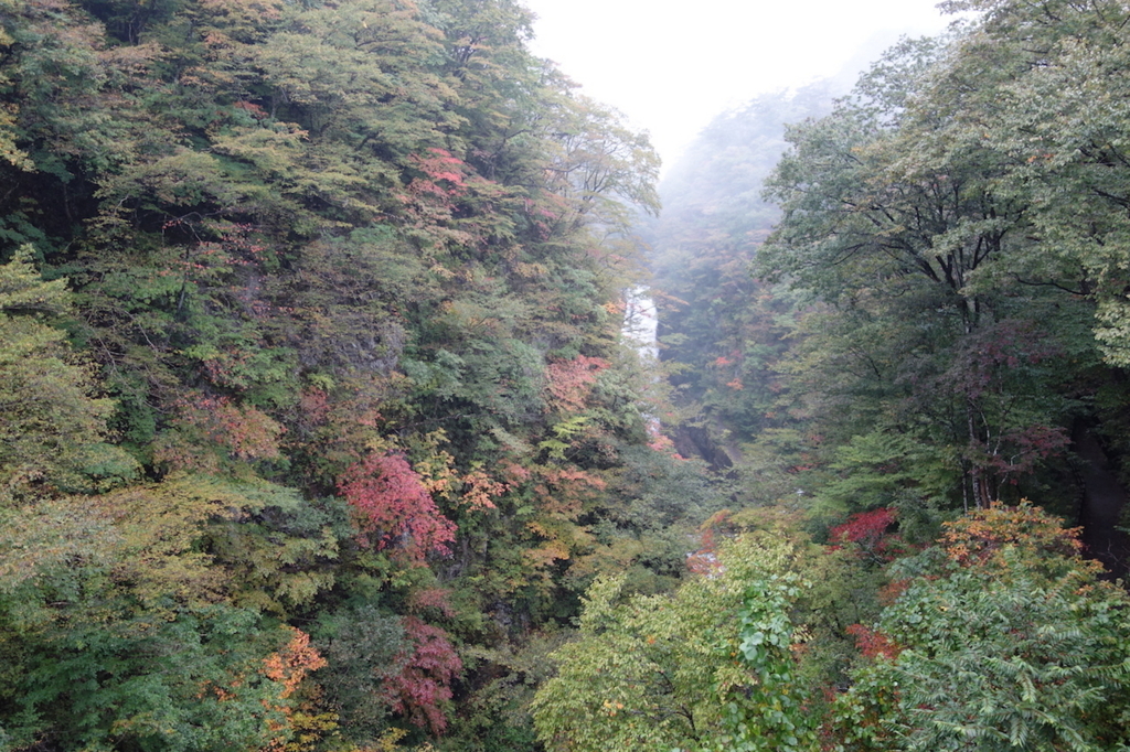 秋保大滝滝壺への道（不動滝橋上から見る秋保大滝）