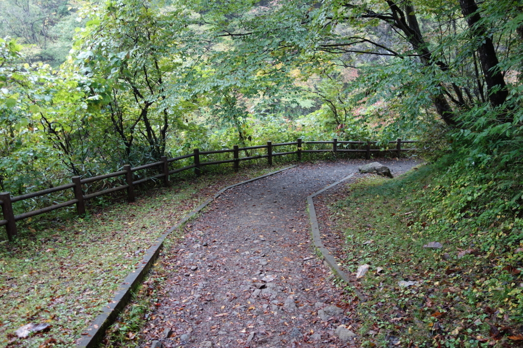 秋保大滝滝壺への道（不動滝橋の階段を降りた場所）