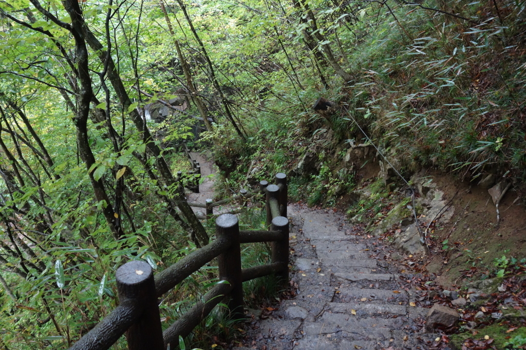 秋保大滝滝壺への道（不動滝橋からの林道にある長い階段）