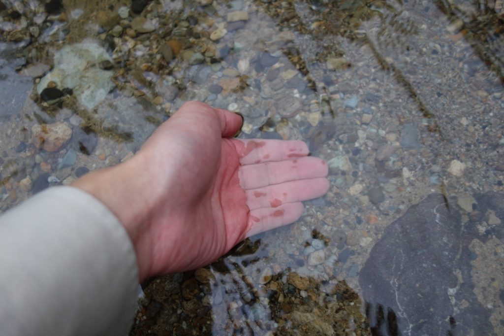 秋保大滝滝壺への道（透き通る滝壺の水）