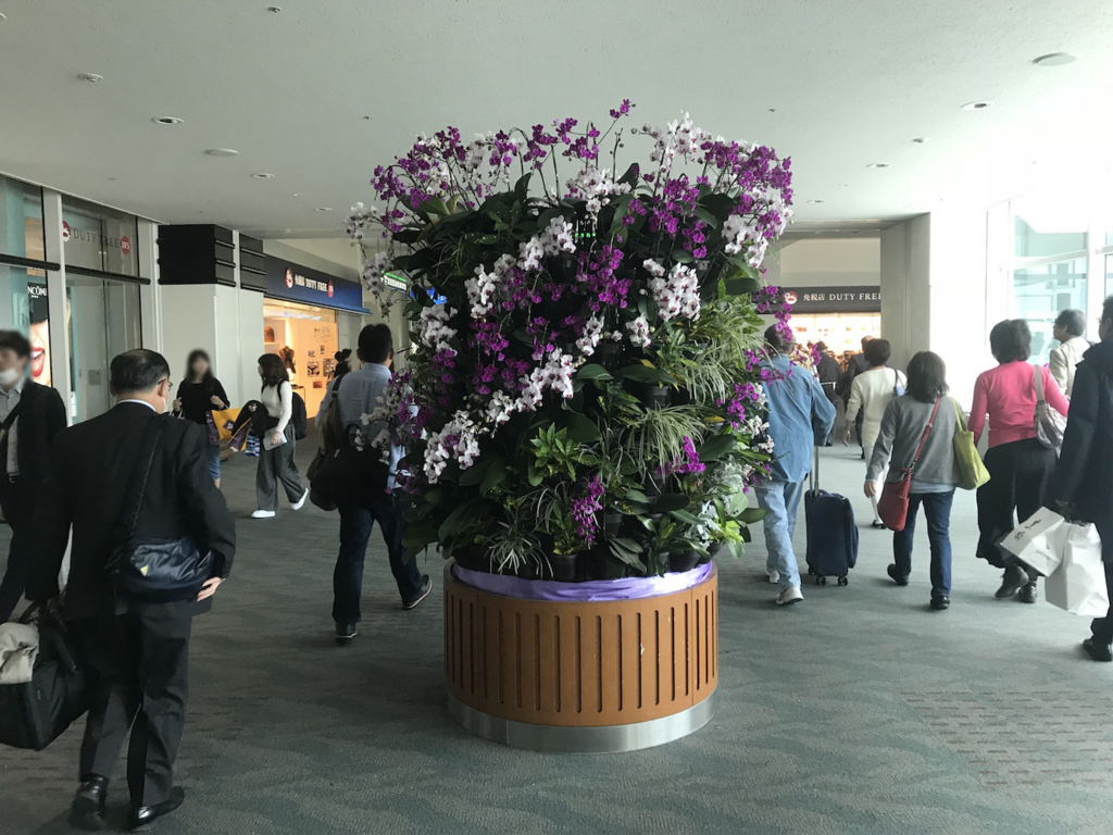 那覇空港の制限区域内（平成30年2月21日）