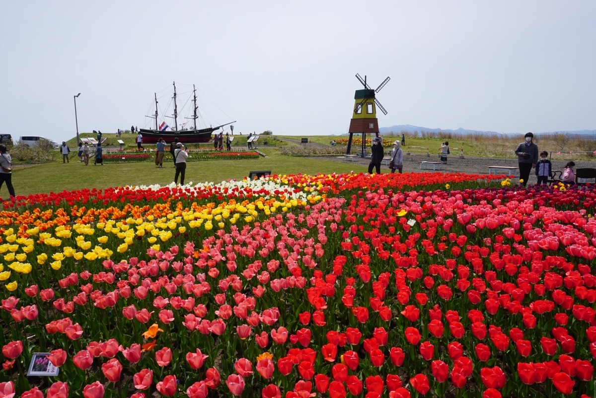 f:id:anaba_travel:20210602220300j:plain