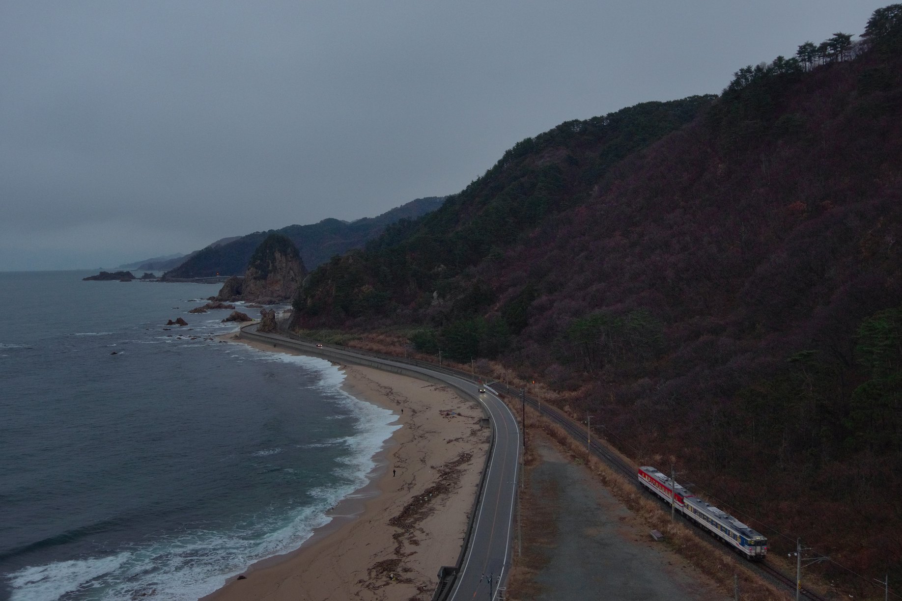f:id:anachro-fukurou:20200212224451j:plain f:id:anachro-fukurou:20200212224451j:plain