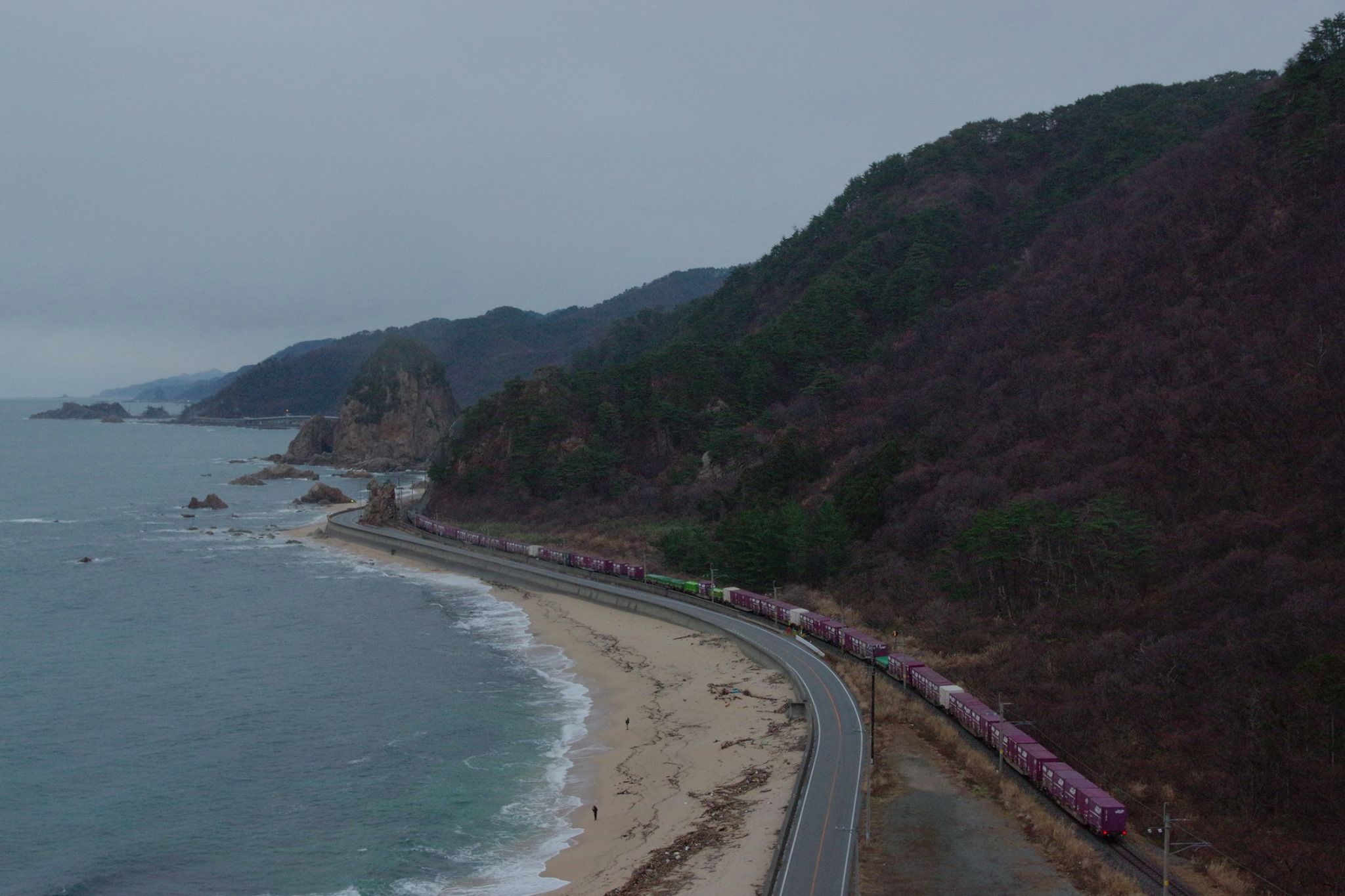 f:id:anachro-fukurou:20200212224459j:plain f:id:anachro-fukurou:20200212224459j:plain