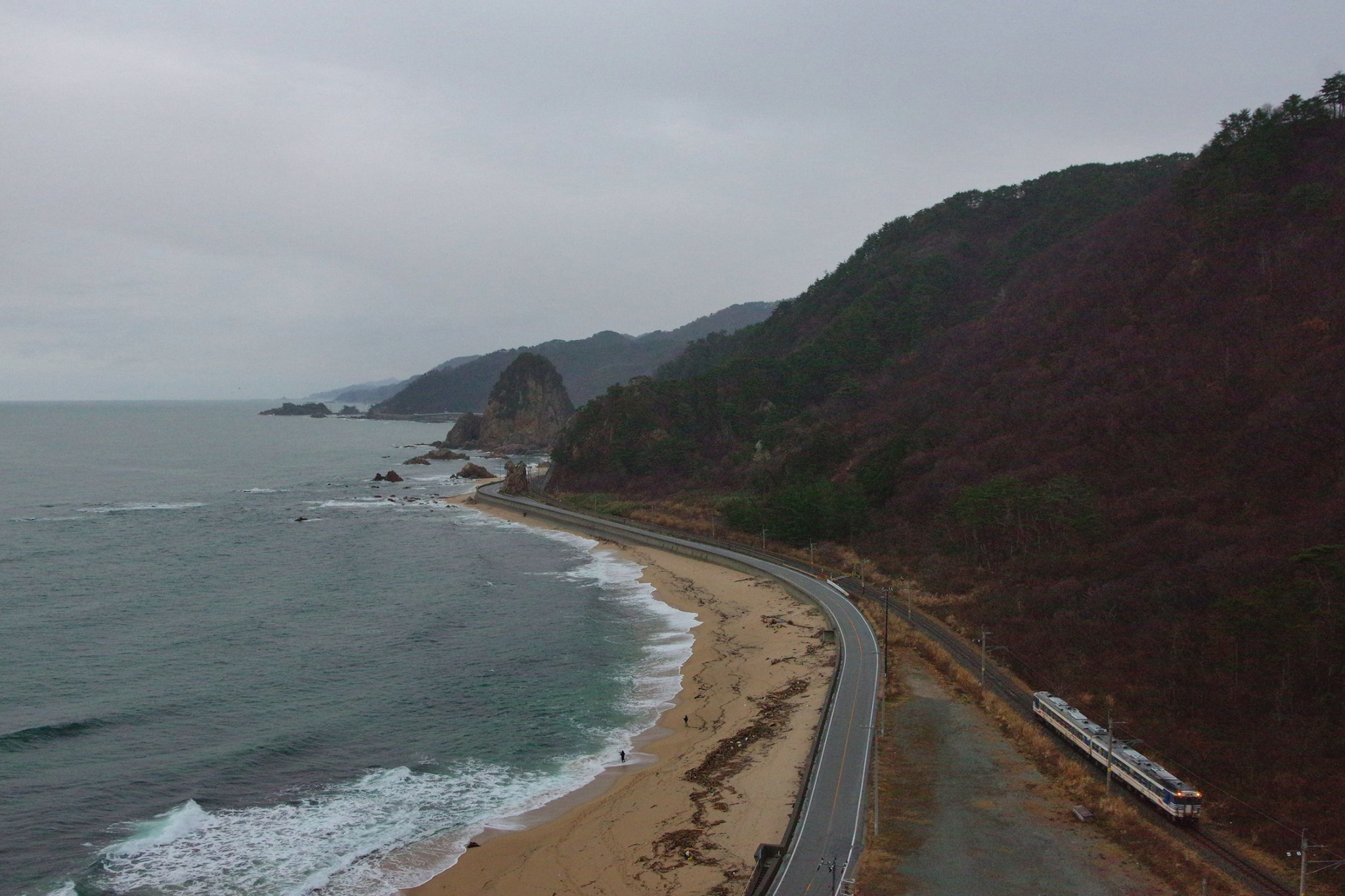 f:id:anachro-fukurou:20200212224507j:plain f:id:anachro-fukurou:20200212224507j:plain