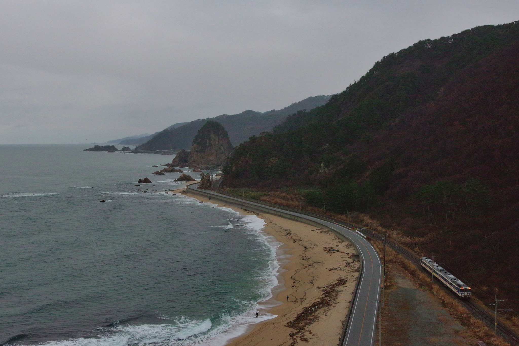 f:id:anachro-fukurou:20200212224514j:plain f:id:anachro-fukurou:20200212224514j:plain