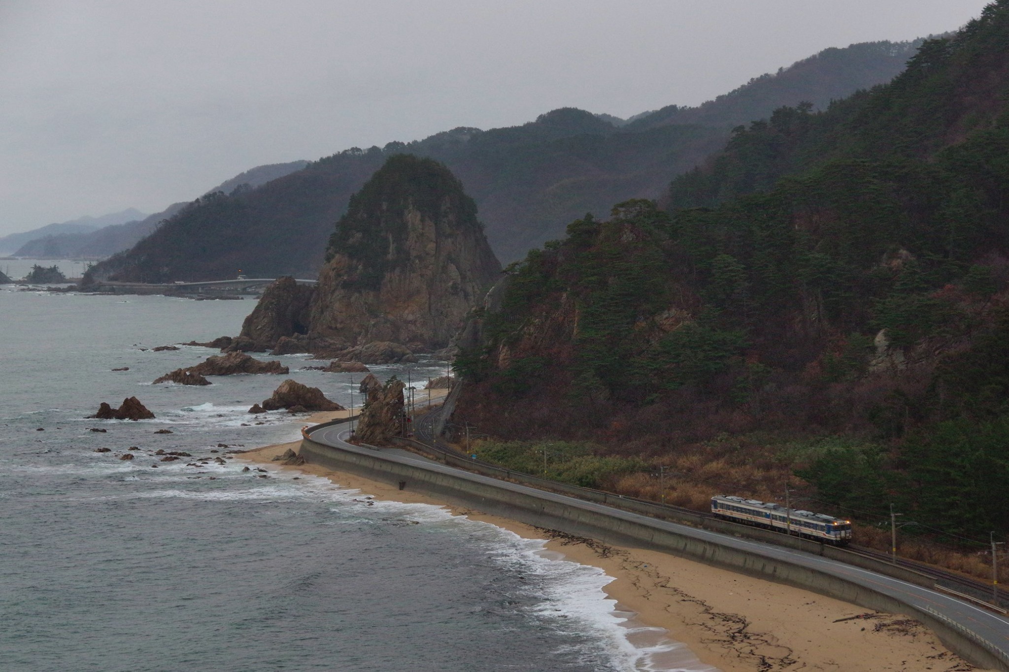 f:id:anachro-fukurou:20200212224521j:plain f:id:anachro-fukurou:20200212224521j:plain