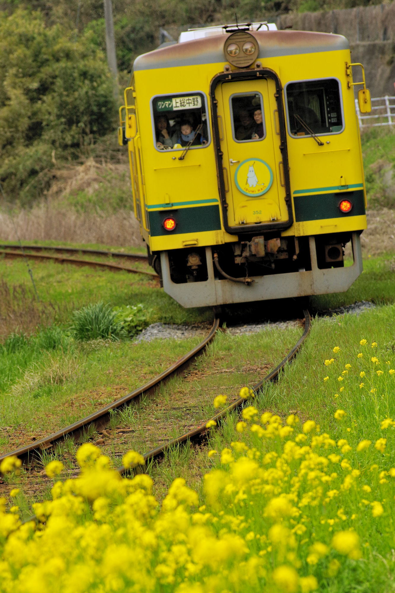 f:id:anachro-fukurou:20200326143226j:plain