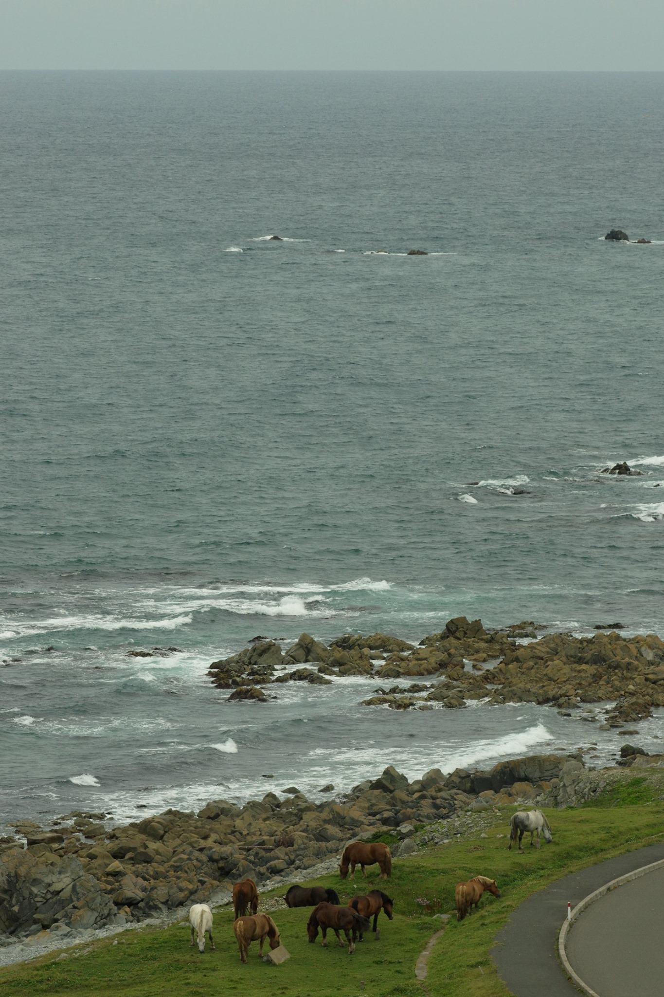 f:id:anachro-fukurou:20200614175138j:plain