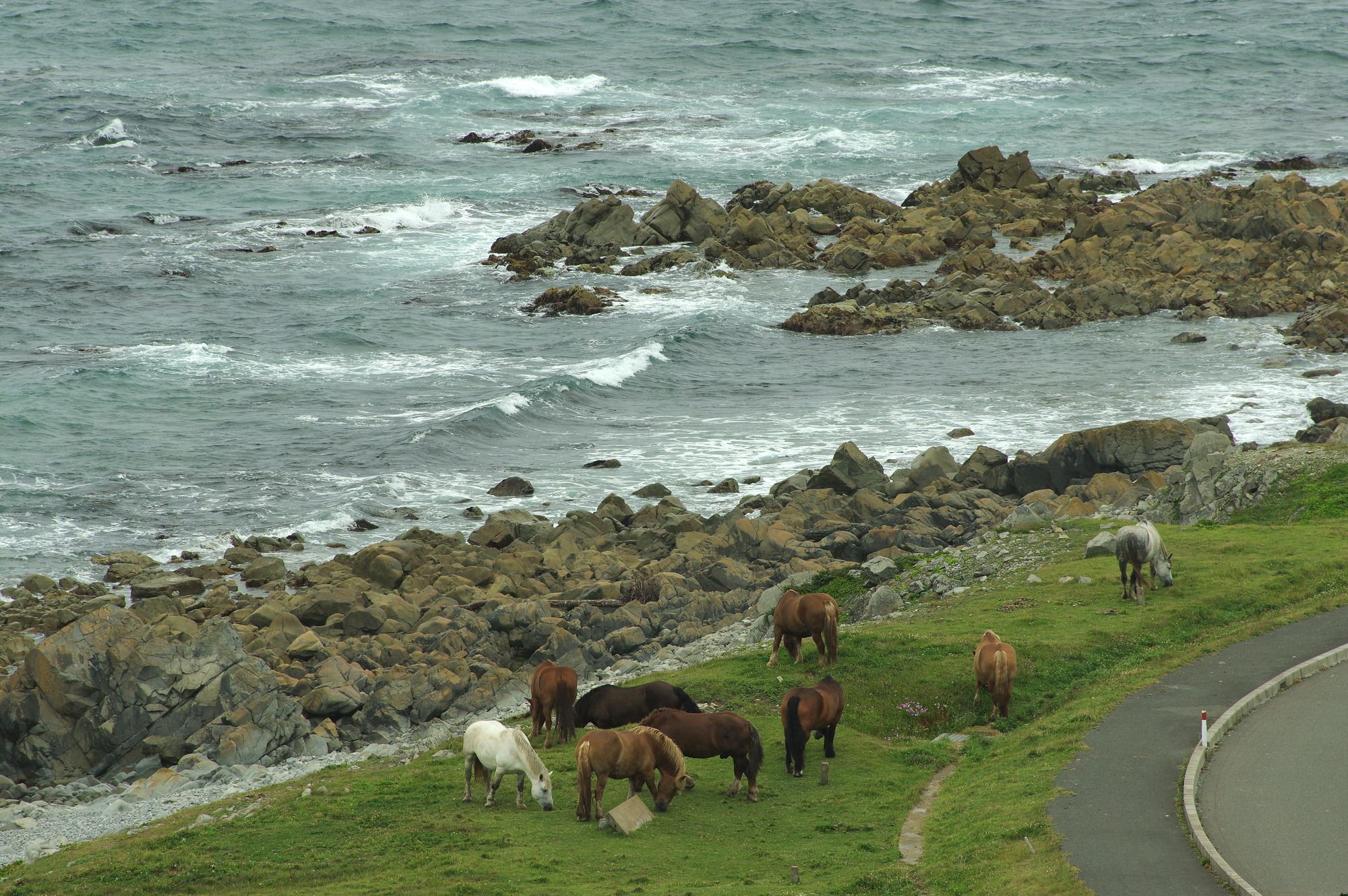 f:id:anachro-fukurou:20200614175353j:plain