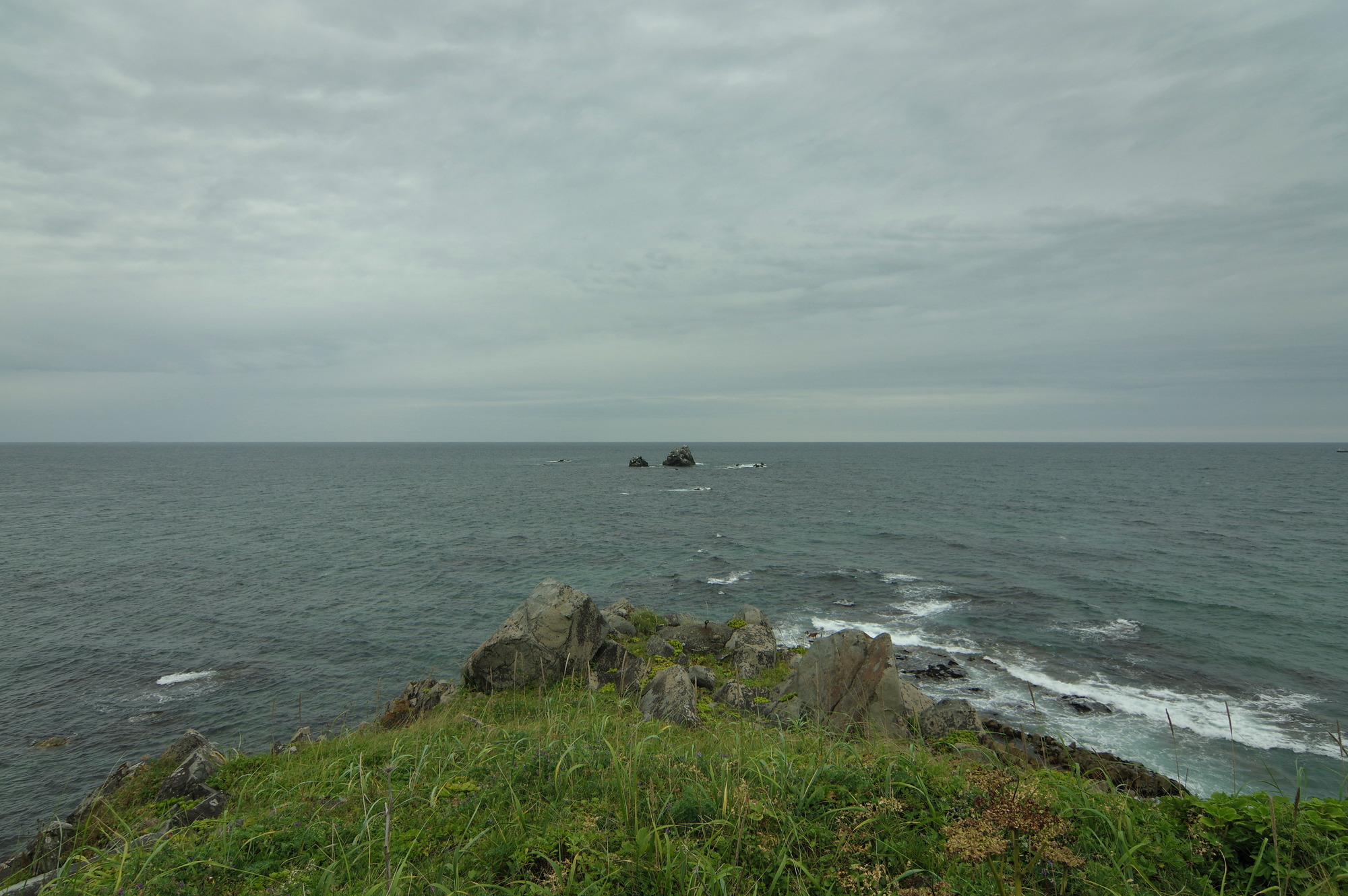 f:id:anachro-fukurou:20200614175406j:plain