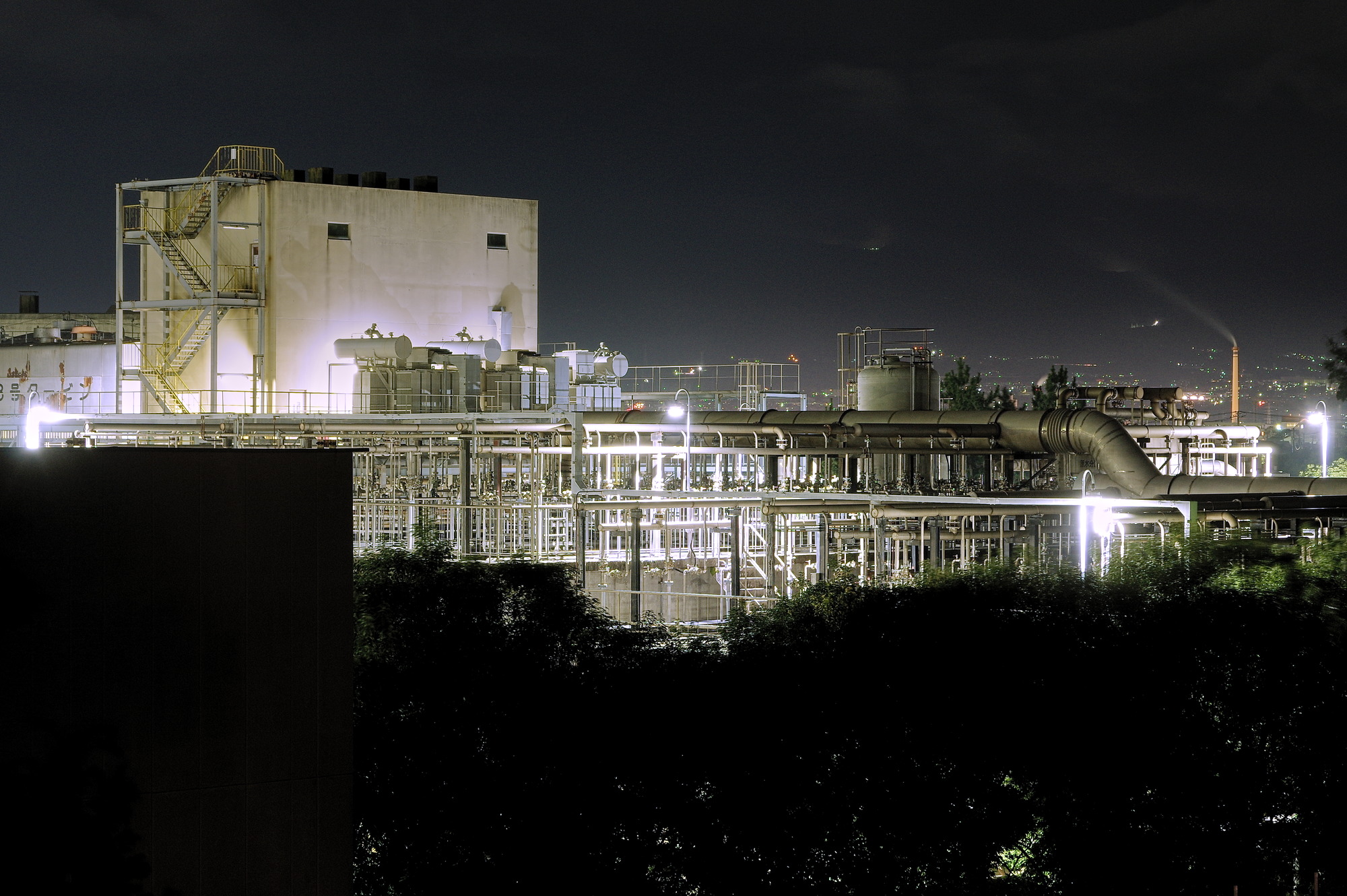 f:id:anachro-fukurou:20200801152227j:plain f:id:anachro-fukurou:20200801152227j:plain